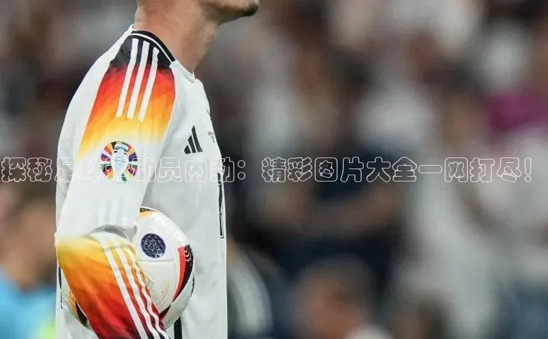 球盟会登录入口网页版百度翻译App