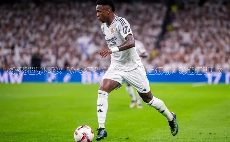 球盟会(中国)官方网站阿里尔公司