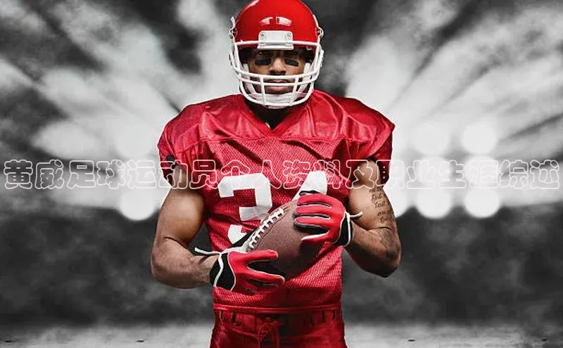 qmh球盟会百度识图