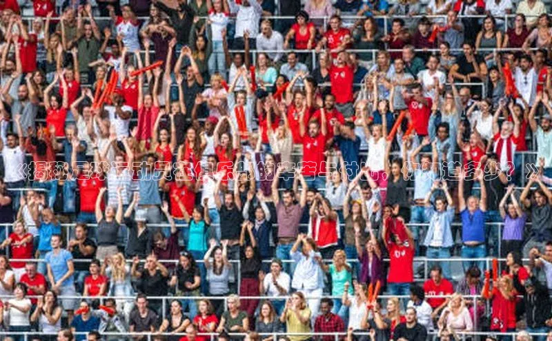 qm球盟会金山办公