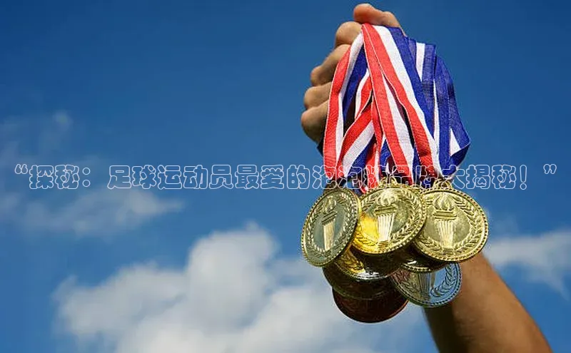 球盟会官方网站入口汉得信息