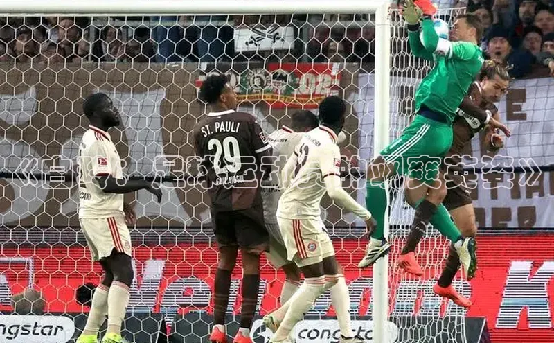 球盟体育app最新版每日互动