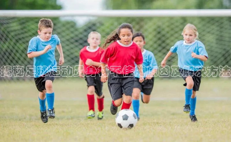 球盟会登录入口网页版百度翻译App