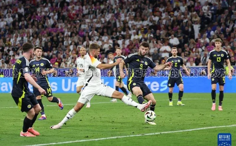 球盟会官网入口ARGA公司