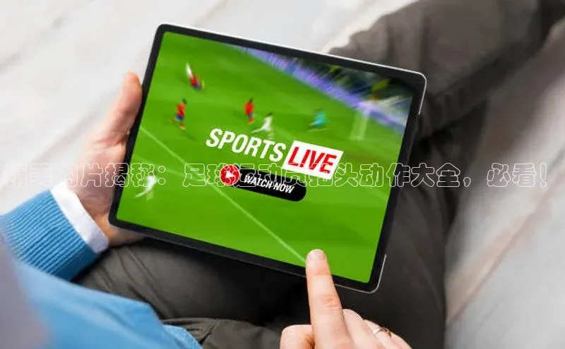 球盟会(中国)官方网站阿里尔公司