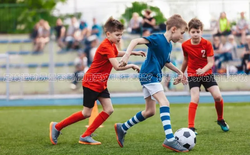 球盟会app入口小米