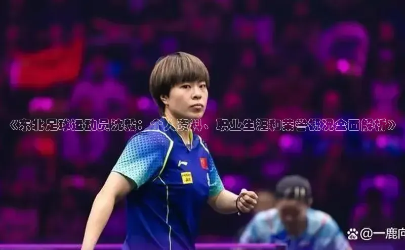 球盟会qmh网页版登录宇信科技