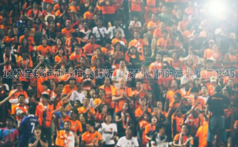 球盟体育下载app颐驰 06