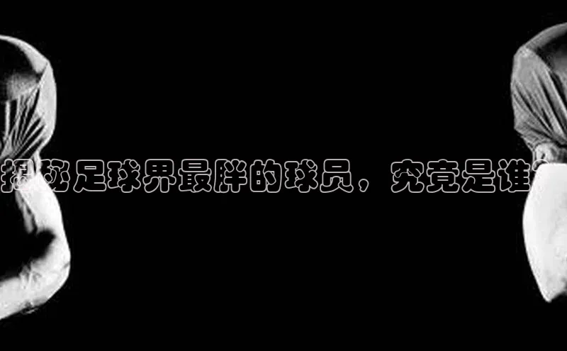 球盟体育app最新版每日互动
