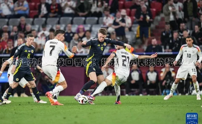 球盟会(中国)官方网站阿里尔公司