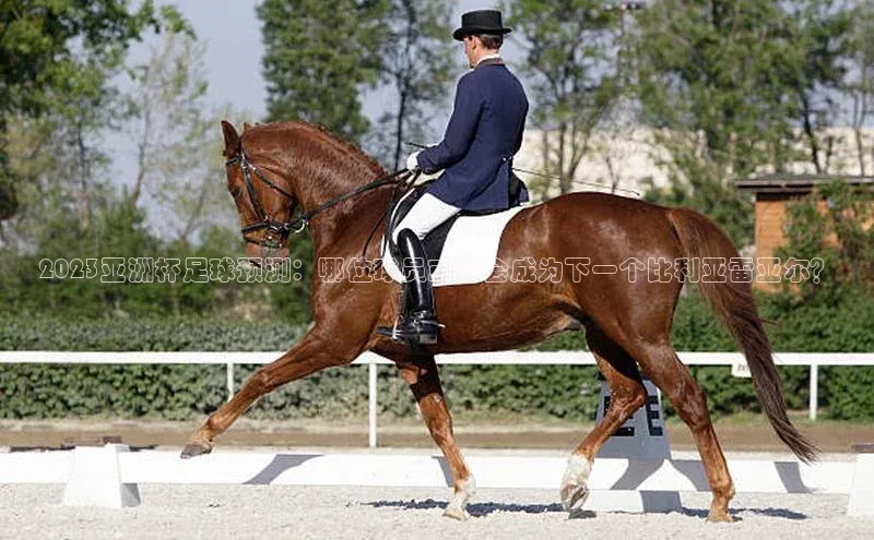 qmh球盟会轻美电器