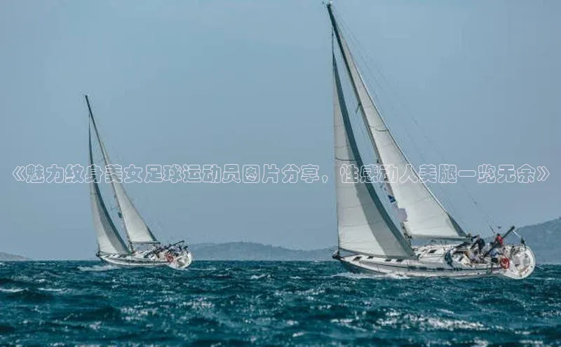 球盟会登录入口网页版百度翻译App