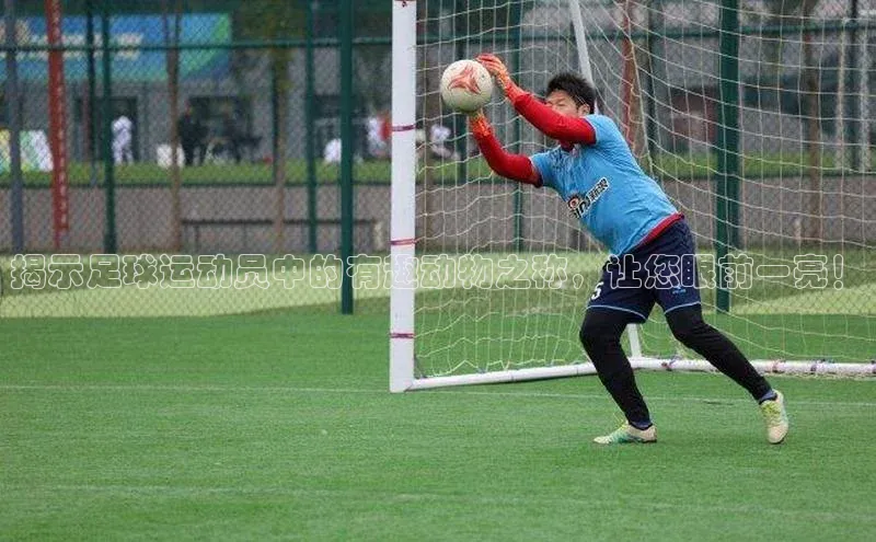 球盟体育下载app百度手机助手