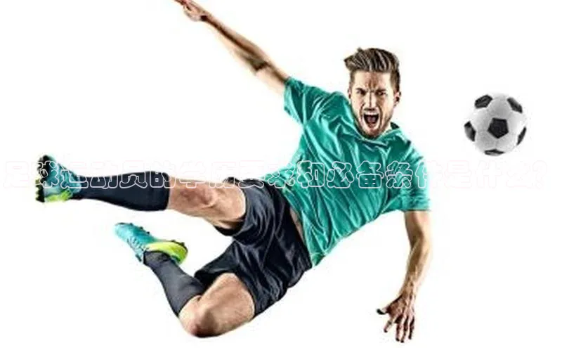 球盟会登录入口网页版百度翻译App