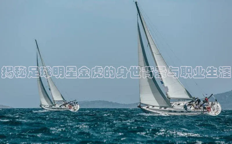 球盟会平台官网普信公司