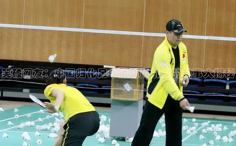 qmh球盟会轻美电器