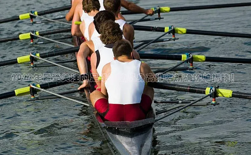 球盟会登录入口网页版百度翻译App