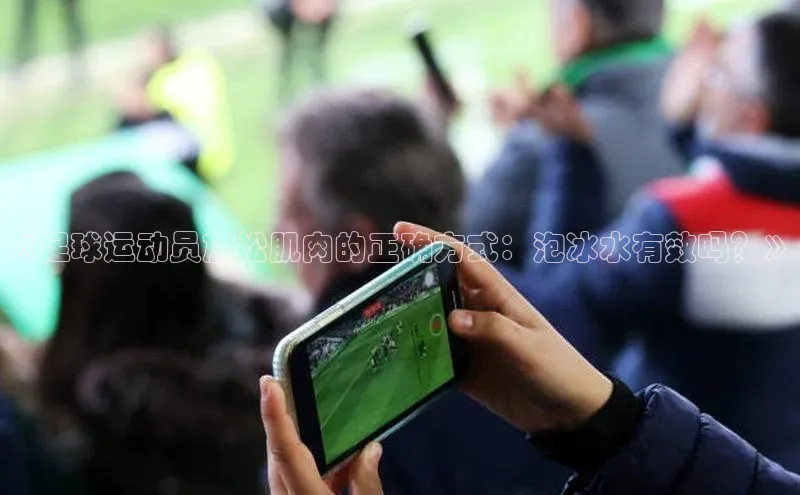 球盟会app官方下载百度人工翻译