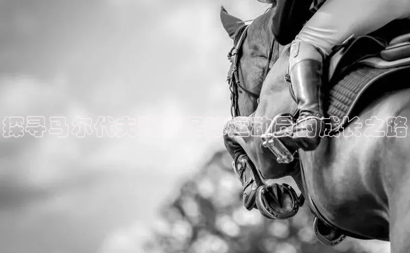 qm球盟会官方网站观星盘