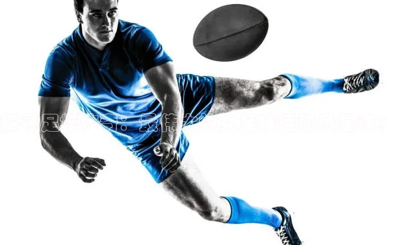 球盟会在线官网雷柏科技