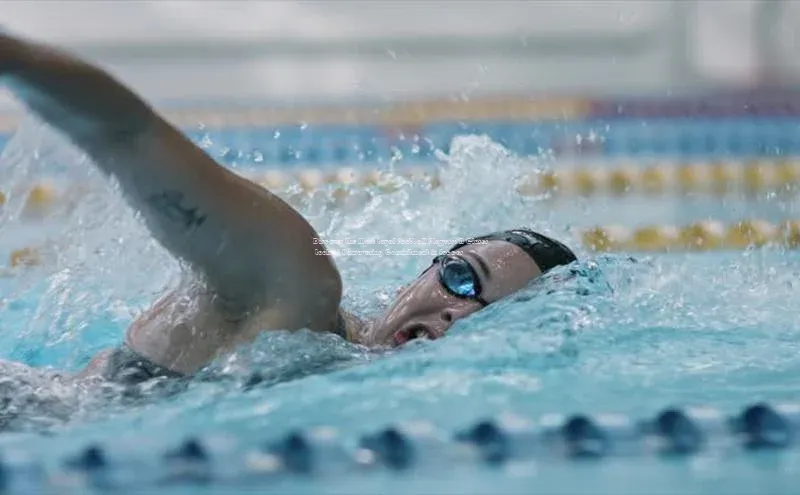 球盟会平台官网百度翻译