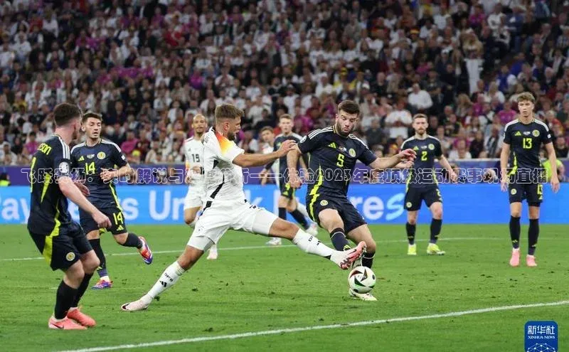 球盟会登录网址