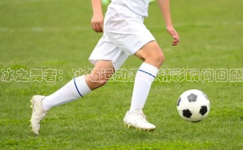 球盟会官网入口下载