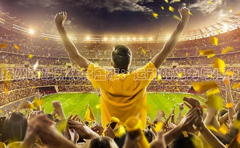 球盟会官方网页登录